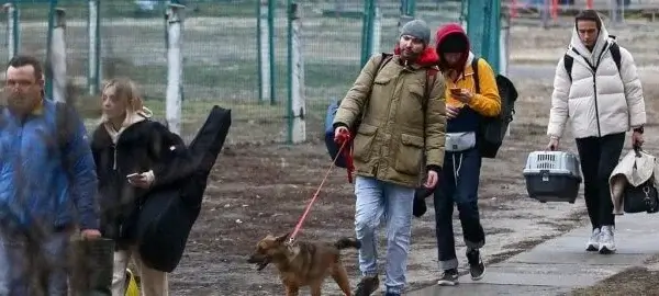 Love in the Time of War: Indians Returning From Ukraine With Animal Companions