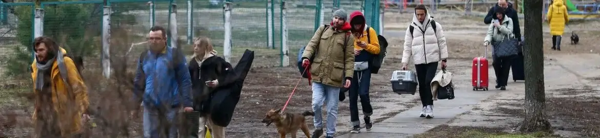 Love in the Time of War: Indians Returning From Ukraine With Animal Companions