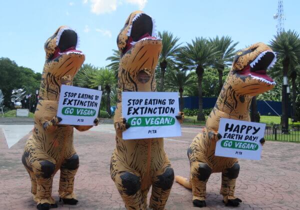 PETA ‘Dinosaurs’ Hit the Streets of Manila to Urge People to Go Vegan