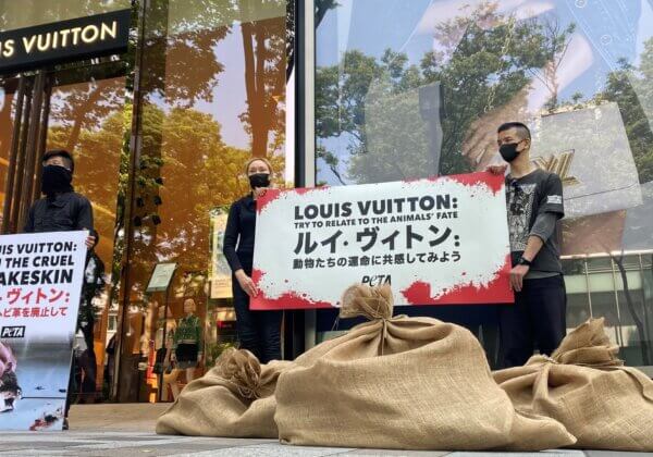 What’s in the Bag? Shoppers in Tokyo Were About to Find Out