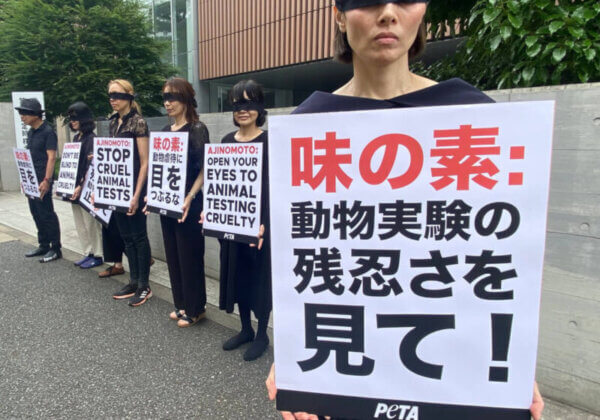 PETA Demands Ajinomoto Open their Eyes at Shareholders Meeting