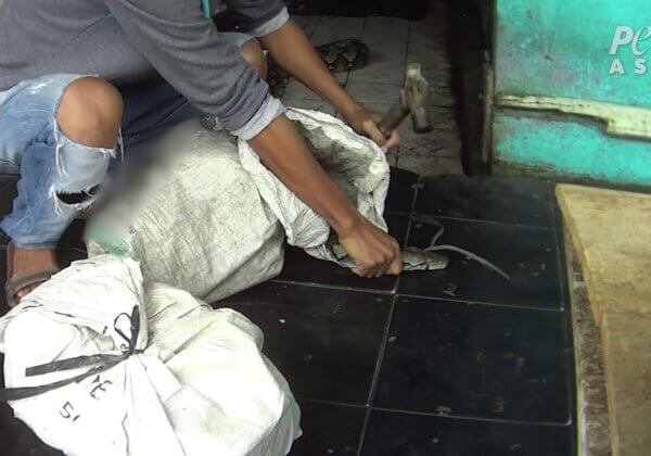 Snakes Bludgeoned and Skinned Alive for Bags: Urge Hozian to Go Cruelty-Free