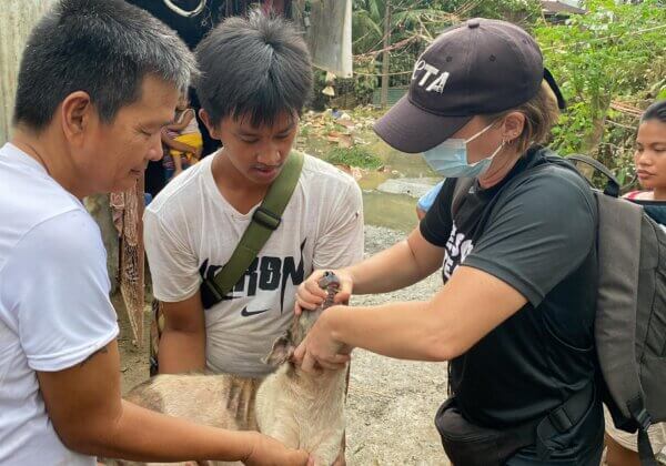 PETA Rescue Team on the Scene After Typhoon Noru Rips Through Central Philippines