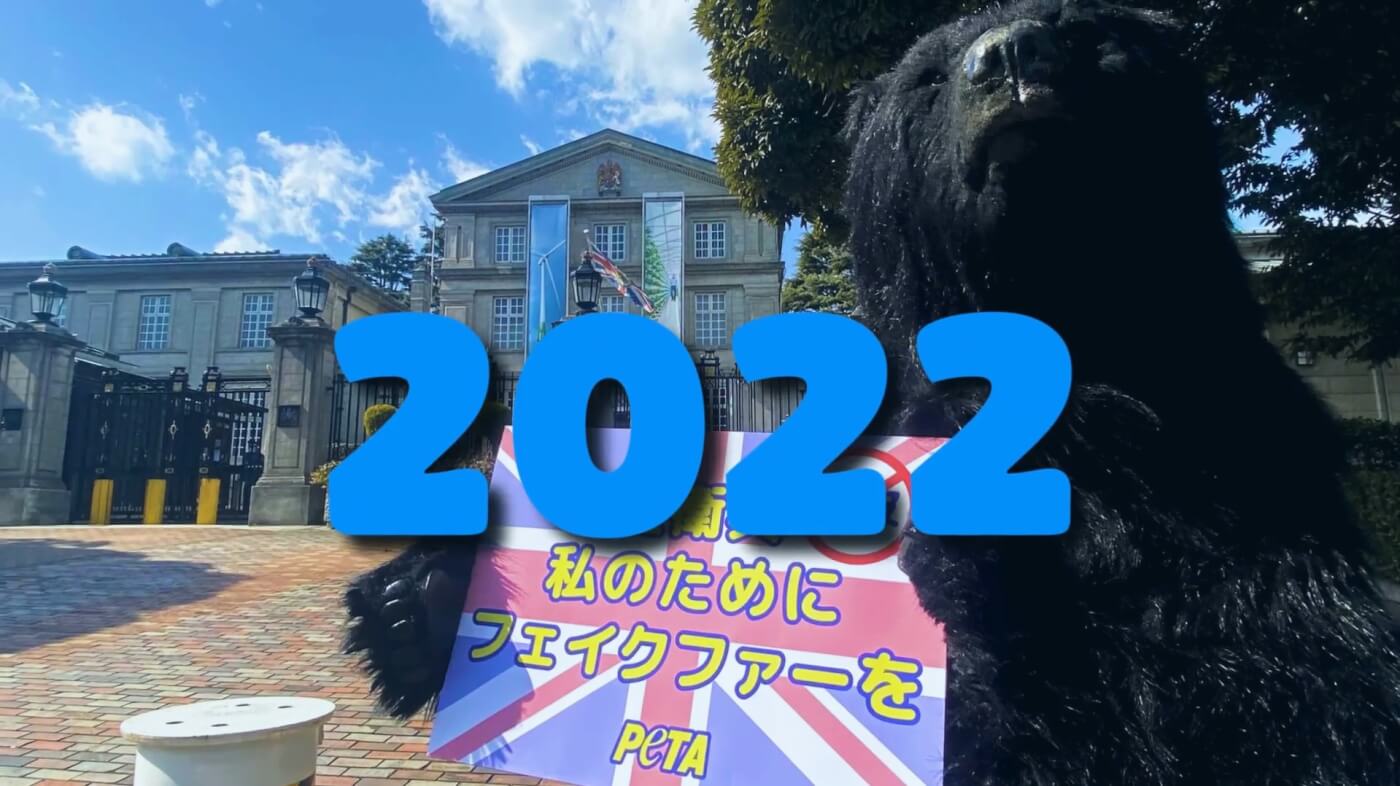 2022 Was a Successful Year for PETA Asia! Let’s Make 2023 Even Better