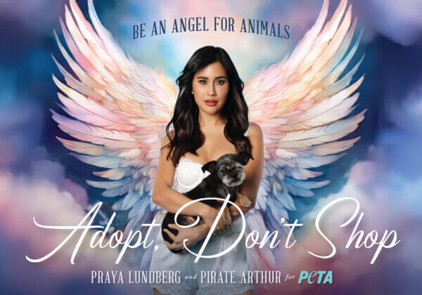 White Lotus Star Explains How One Simple Choice Can Save Countless Animals